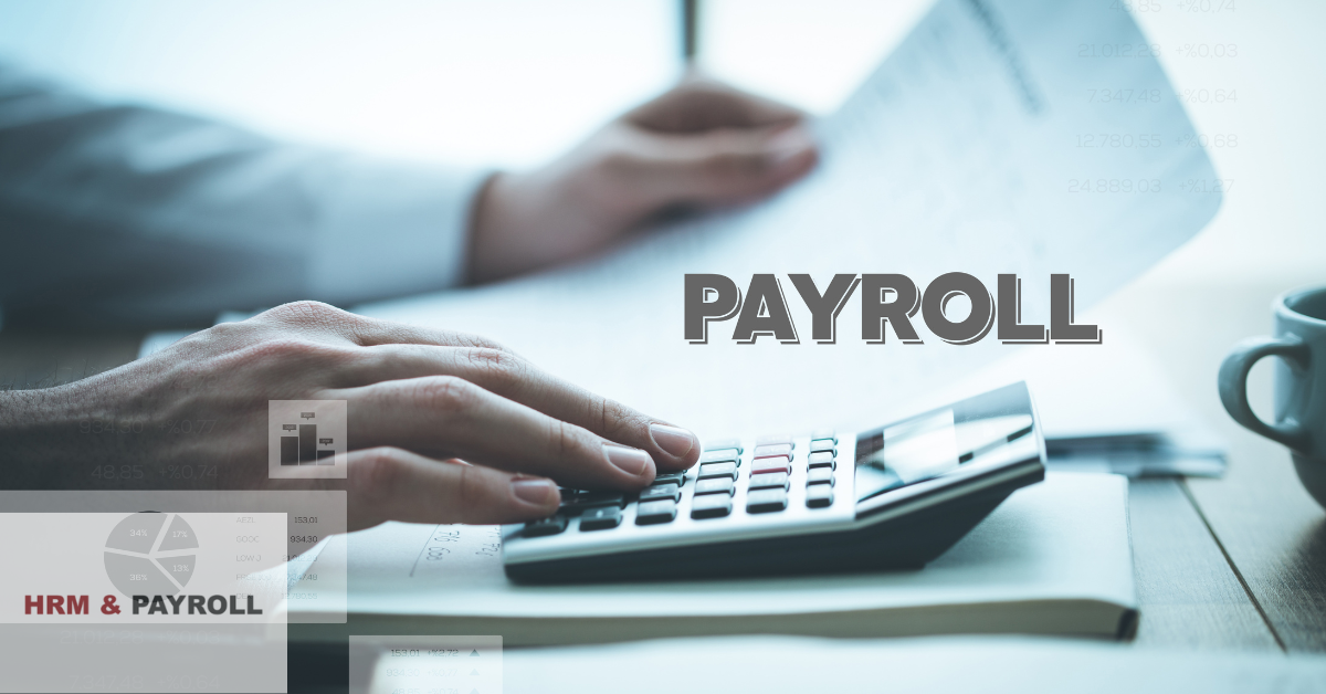 Payroll Outsourcing in UAE image