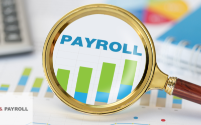 Choosing a Payroll Provider in Dubai: A Guide
