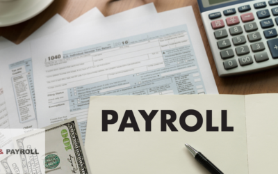 The Impact of Payroll Deductions on Employees and Employers in the UAE