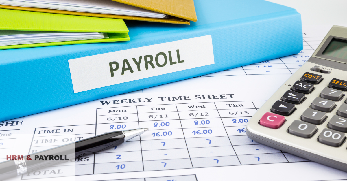 payroll outsourcing uae img