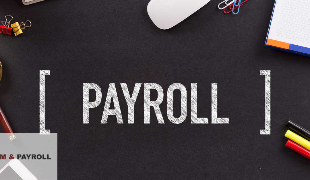Making Sense of International Payroll for Companies Operating Overseas in the UAE
