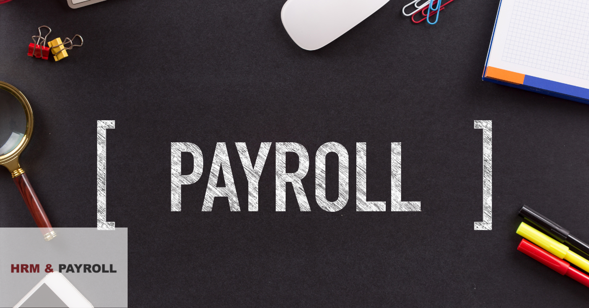 International Payroll for Companies