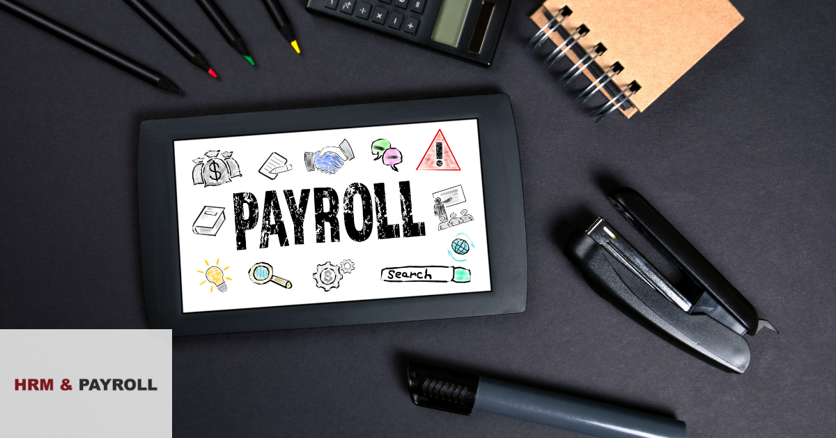 Professional Payroll outsourcing services in UAE